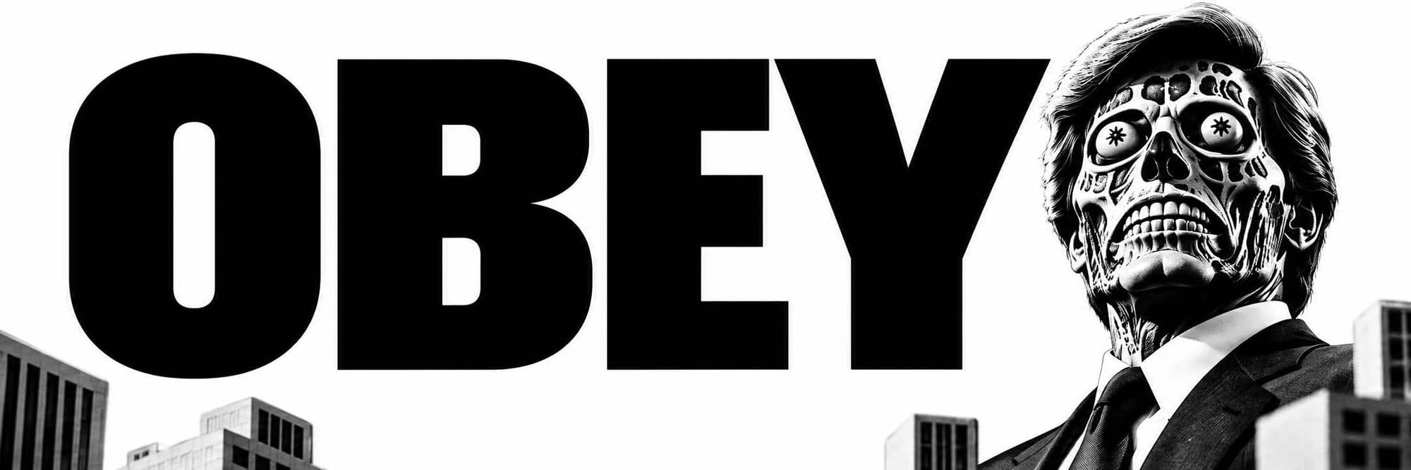 bava.studio